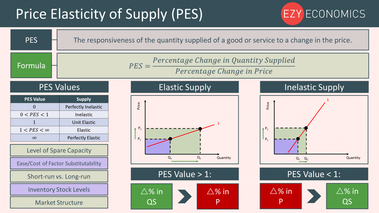 Year 12 Recap - PES